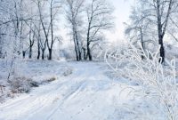 What Does Dtf Mean A Comprehensive Guide To Understanding Its Meaning ... What Does Dtf Mean A Comprehensive Guide To Understanding Its Meaning ...